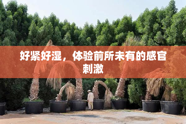 好紧好湿，体验前所未有的感官刺激
