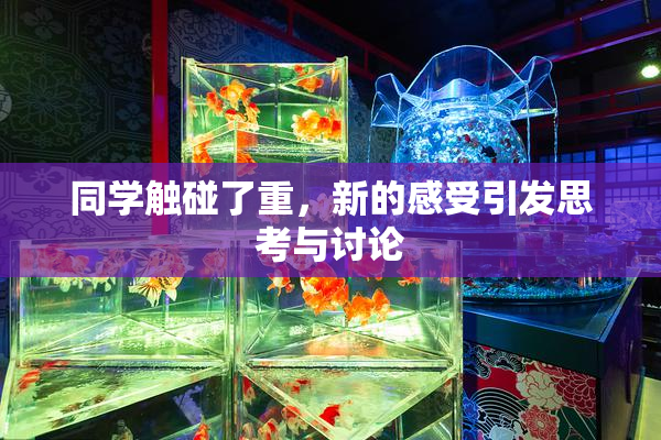 同学触碰了重，新的感受引发思考与讨论