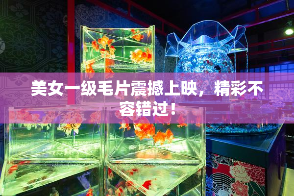 美女一级毛片震撼上映，精彩不容错过！