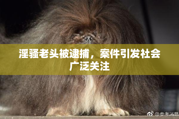 淫骚老头被逮捕，案件引发社会广泛关注