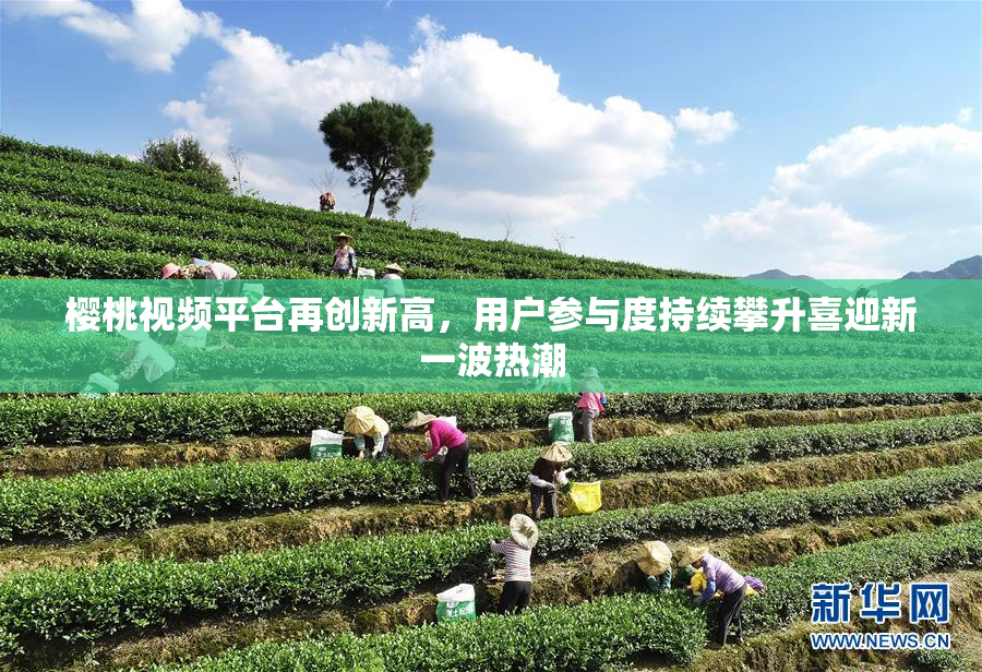 樱桃视频平台再创新高，用户参与度持续攀升喜迎新一波热潮
