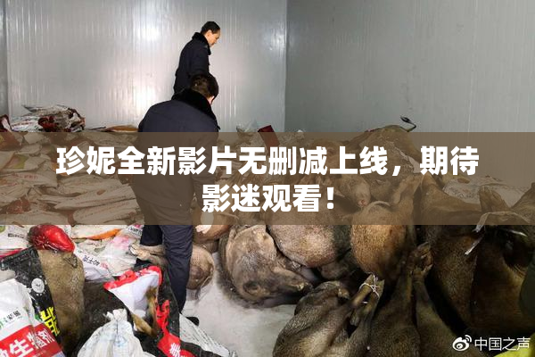 珍妮全新影片无删减上线，期待影迷观看！