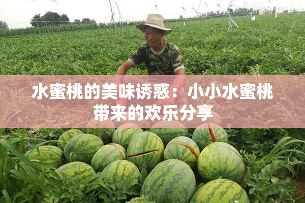 水蜜桃的美味诱惑：小小水蜜桃带来的欢乐分享