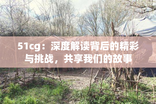 51cg：深度解读背后的精彩与挑战，共享我们的故事