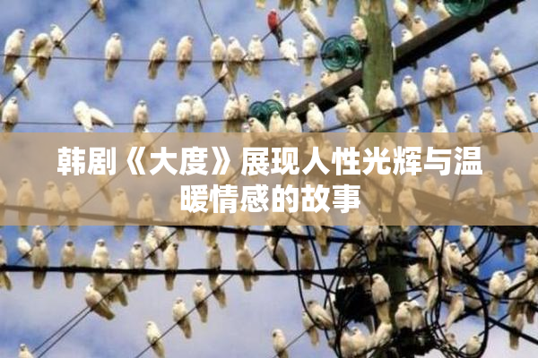韩剧《大度》展现人性光辉与温暖情感的故事