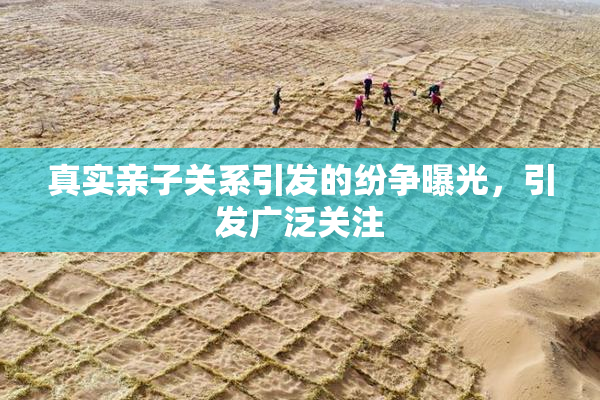真实亲子关系引发的纷争曝光，引发广泛关注
