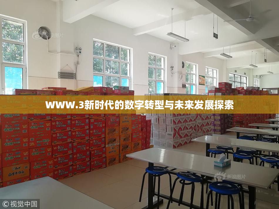 WWW.3新时代的数字转型与未来发展探索