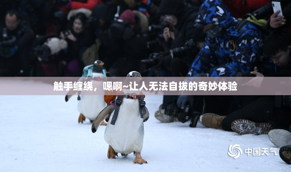 触手缠绕，嗯啊~让人无法自拔的奇妙体验