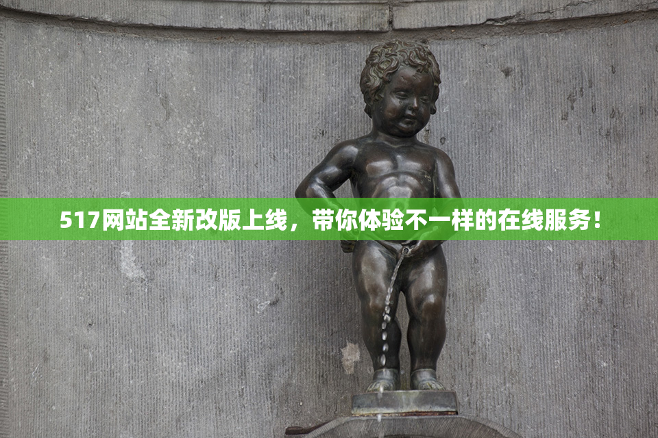517网站全新改版上线，带你体验不一样的在线服务！