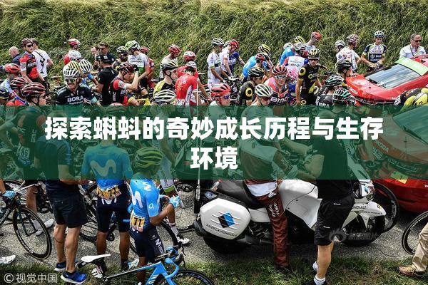 探索蝌蚪的奇妙成长历程与生存环境