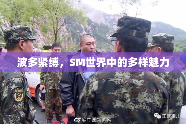 波多紧缚，SM世界中的多样魅力