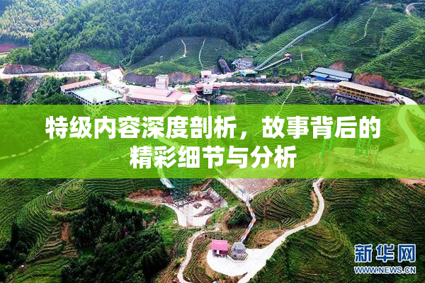 特级内容深度剖析，故事背后的精彩细节与分析