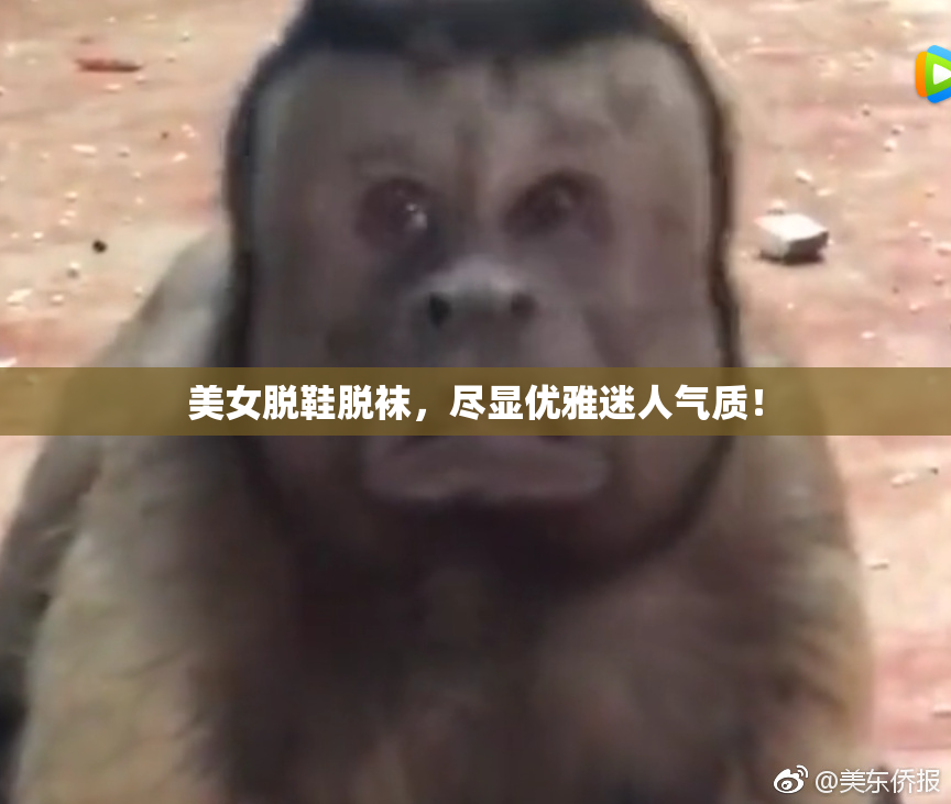 美女脱鞋脱袜，尽显优雅迷人气质！