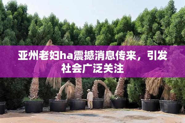 亚州老妇ha震撼消息传来，引发社会广泛关注