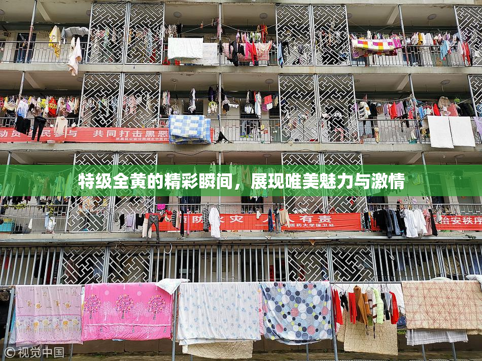 特级全黄的精彩瞬间，展现唯美魅力与激情