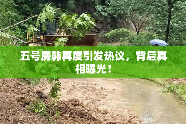 五号房韩再度引发热议，背后真相曝光！