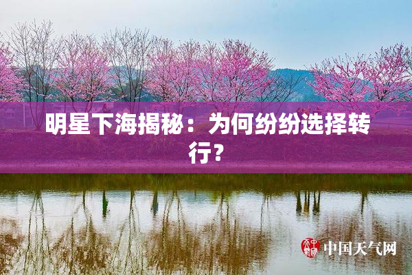 明星下海揭秘：为何纷纷选择转行？