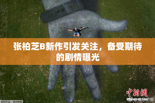 张柏芝B新作引发关注，备受期待的剧情曝光