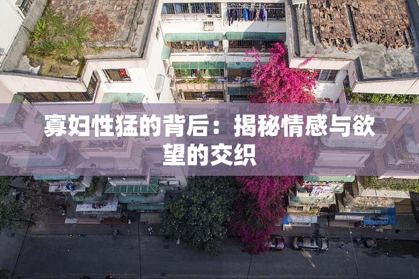 寡妇性猛的背后：揭秘情感与欲望的交织