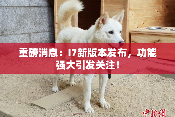 重磅消息：I7新版本发布，功能强大引发关注！