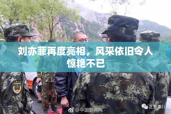 刘亦菲再度亮相，风采依旧令人惊艳不已