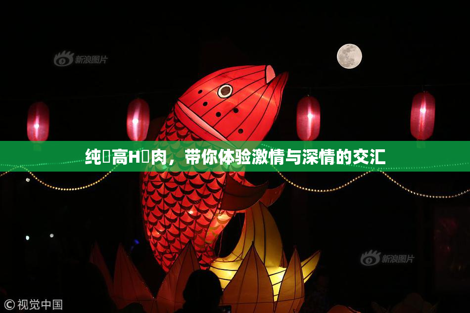 纯愛高H純肉，带你体验激情与深情的交汇