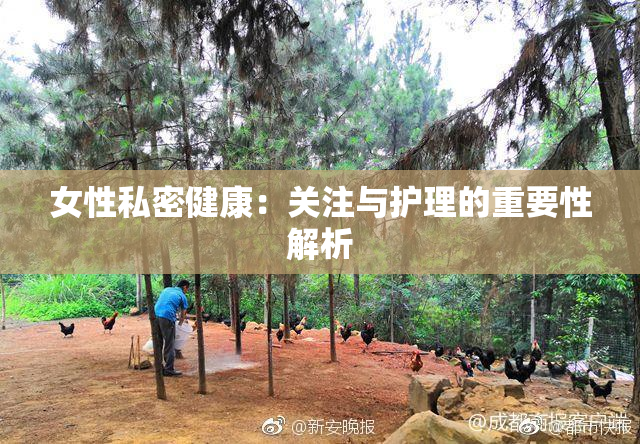 女性私密健康：关注与护理的重要性解析