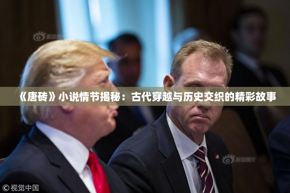 《唐砖》小说情节揭秘：古代穿越与历史交织的精彩故事