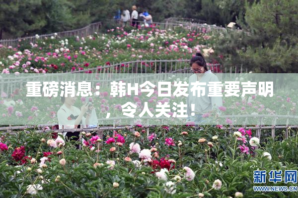 重磅消息：韩H今日发布重要声明，令人关注！