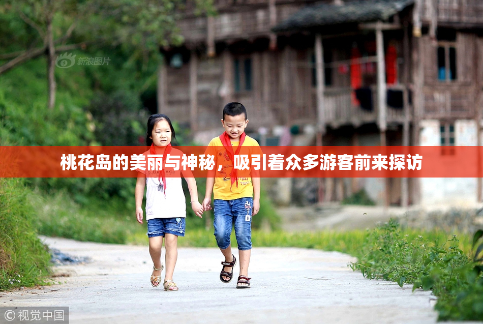 桃花岛的美丽与神秘，吸引着众多游客前来探访