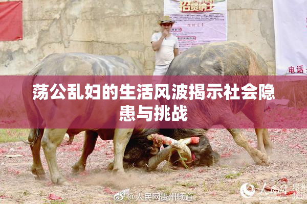 荡公乱妇的生活风波揭示社会隐患与挑战