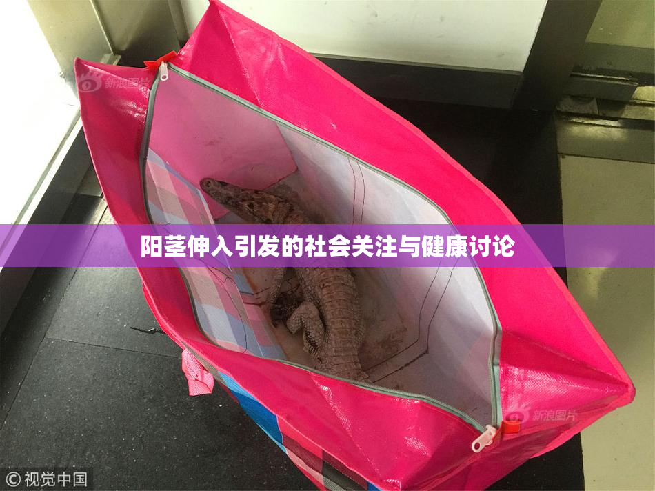阳茎伸入引发的社会关注与健康讨论
