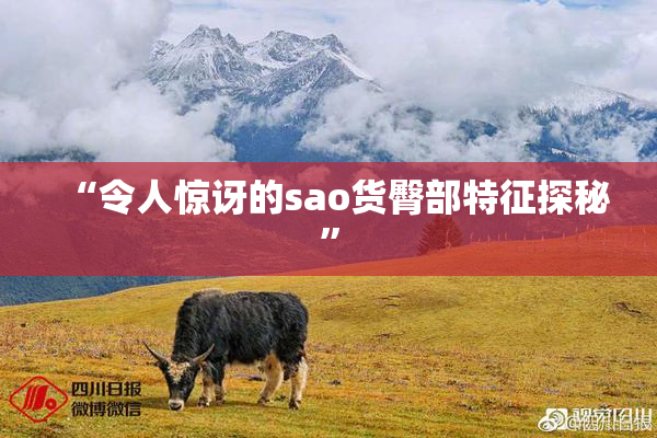 “令人惊讶的sao货臀部特征探秘”
