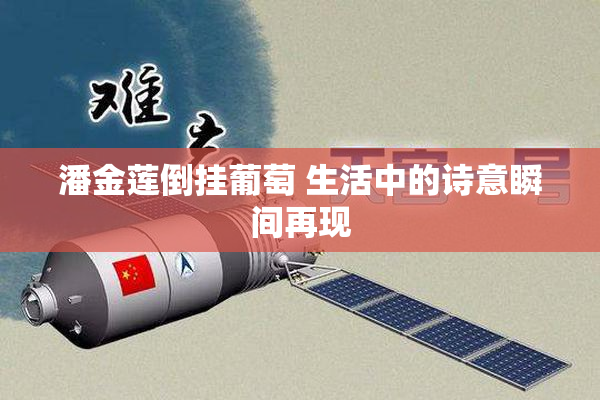 潘金莲倒挂葡萄 生活中的诗意瞬间再现