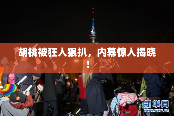 胡桃被狂人狠扒，内幕惊人揭晓！
