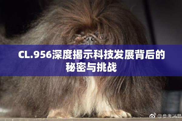 CL.956深度揭示科技发展背后的秘密与挑战