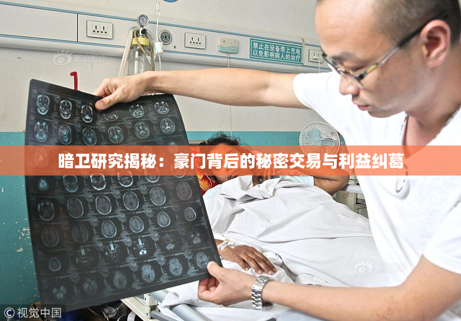 暗卫研究揭秘：豪门背后的秘密交易与利益纠葛