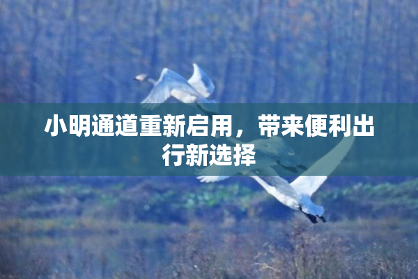小明通道重新启用，带来便利出行新选择