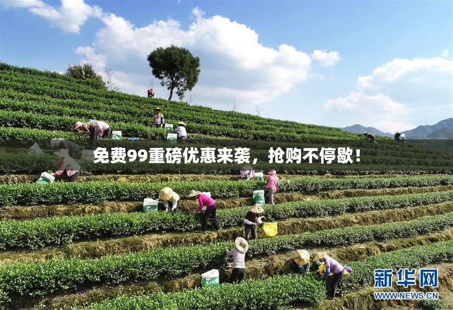 免费99重磅优惠来袭，抢购不停歇！