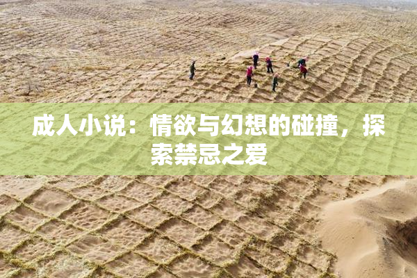 成人小说：情欲与幻想的碰撞，探索禁忌之爱