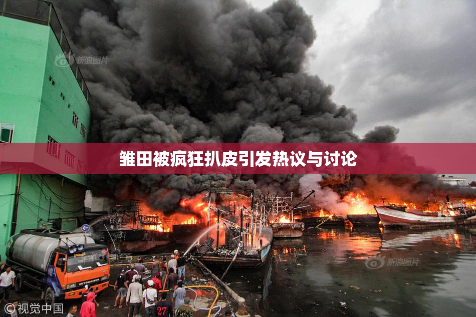 雏田被疯狂扒皮引发热议与讨论