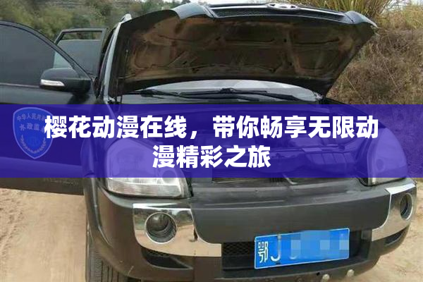 樱花动漫在线，带你畅享无限动漫精彩之旅