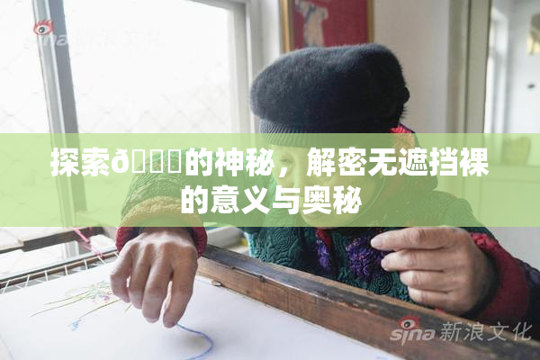 探索🔞的神秘，解密无遮挡裸的意义与奥秘