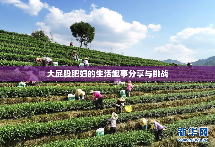 大屁股肥妇的生活趣事分享与挑战