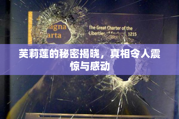 芙莉莲的秘密揭晓，真相令人震惊与感动