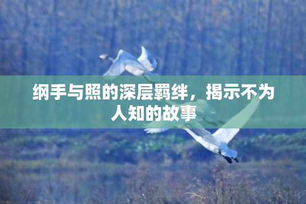 纲手与照的深层羁绊，揭示不为人知的故事