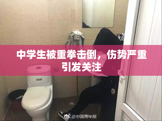 中学生被重拳击倒，伤势严重引发关注
