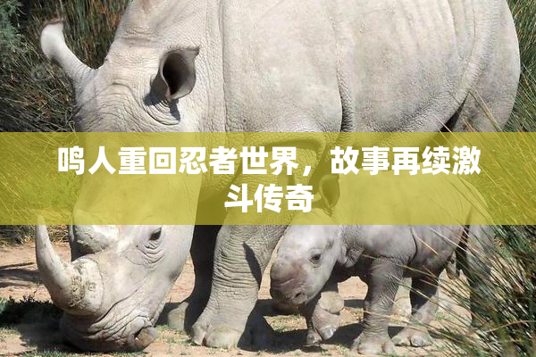 鸣人重回忍者世界，故事再续激斗传奇