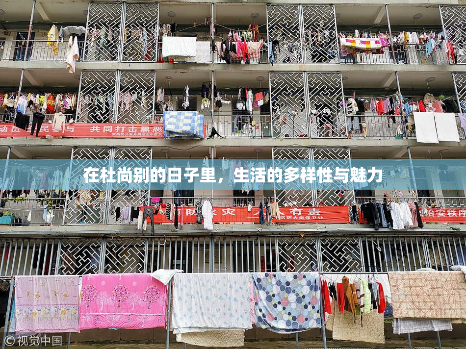 在杜尚别的日子里，生活的多样性与魅力