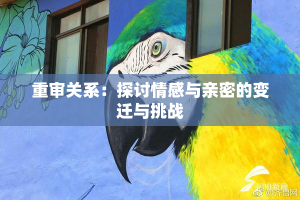 重审关系：探讨情感与亲密的变迁与挑战